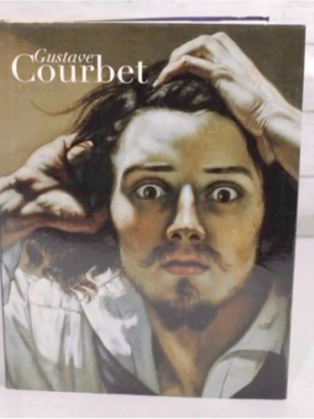 Courbet English-edition Hardcover Monograph Coffee table Book Hatje Cantz MOMA